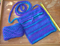 0309-blue-bag-b.jpg