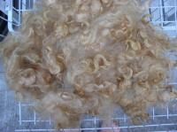 Lincoln x Corriedale dyed with Cutch, alum mordant
