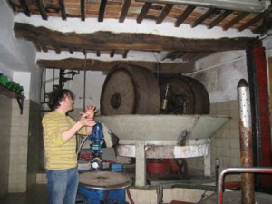 Olive Mill