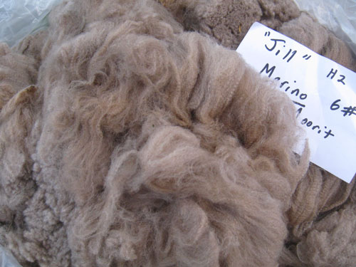 moorit-jill-fleece